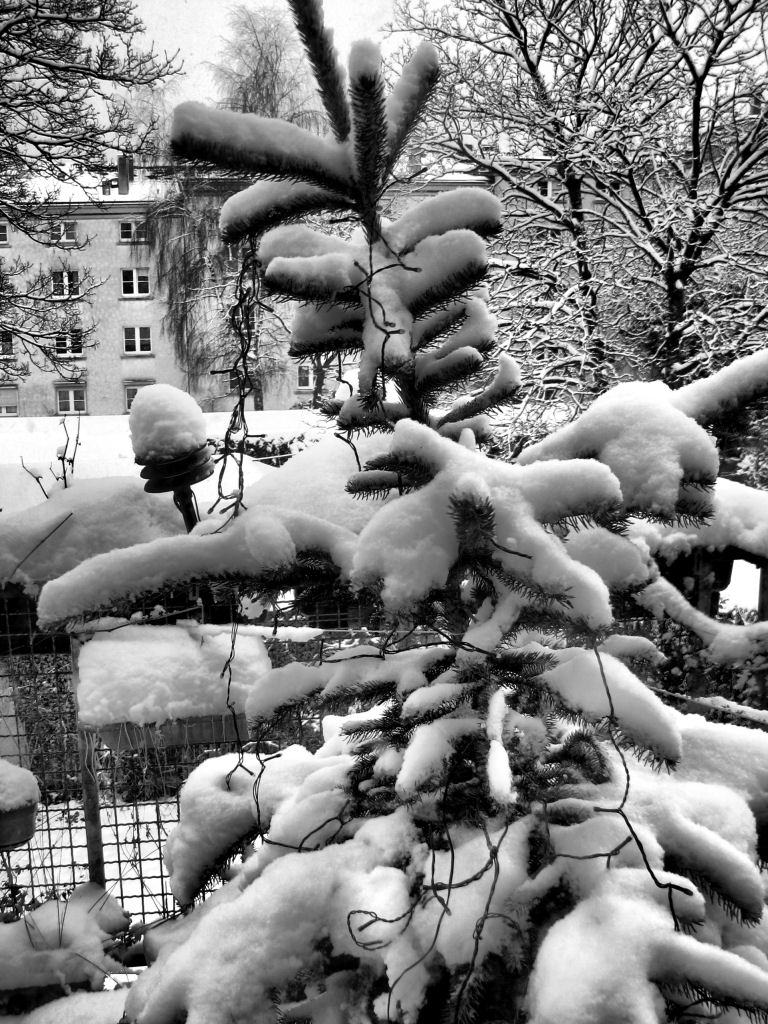schnee101218-03.jpg