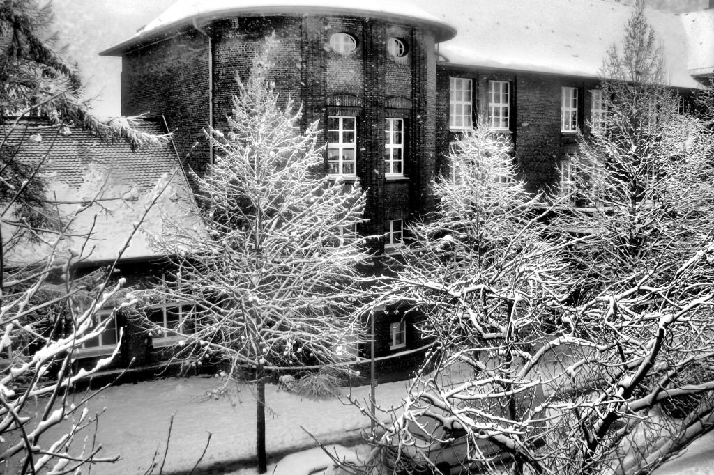 schnee101218-05.jpg