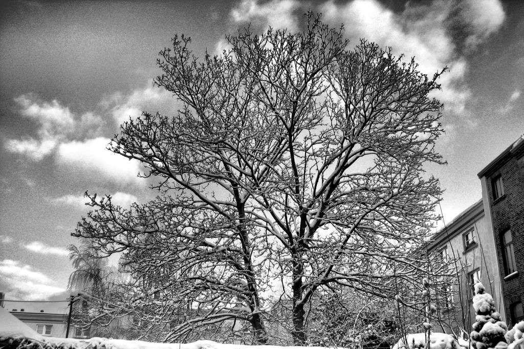 schnee101218-08.jpg