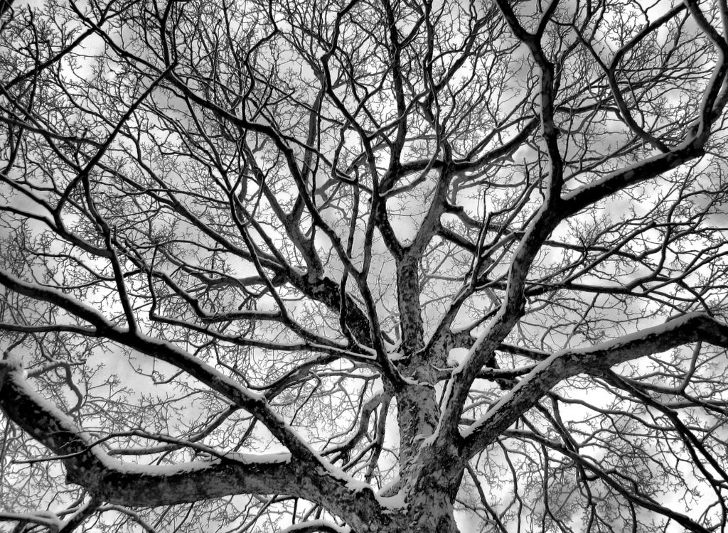 schnee101218-11.jpg
