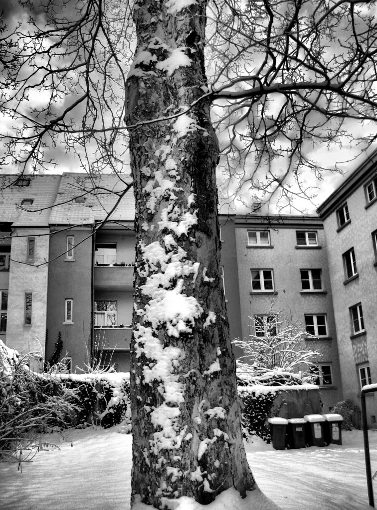 schnee101218-12.jpg