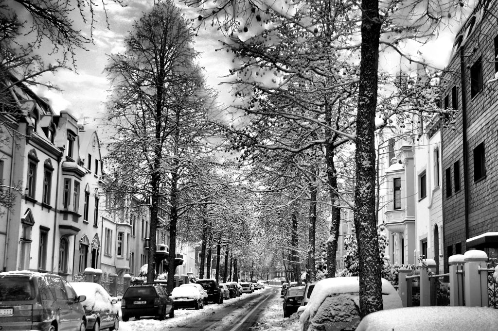 schnee101218-26.jpg