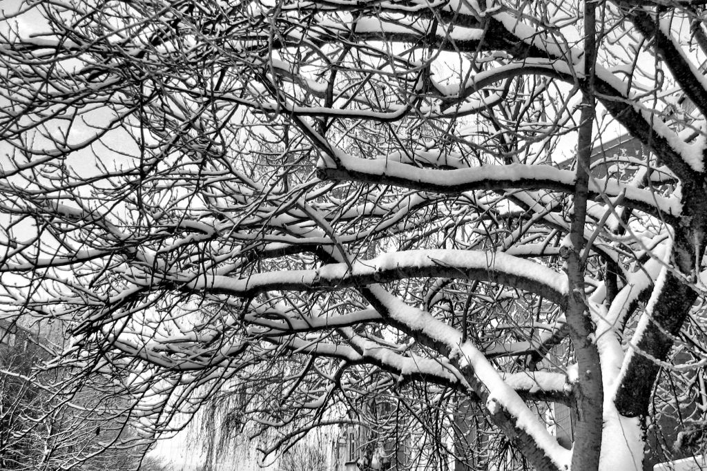 schnee101218-30.jpg