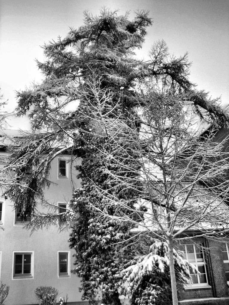 schnee101218-34.jpg