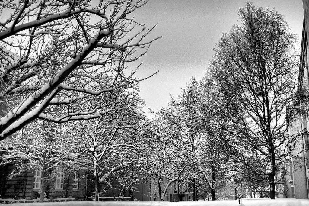 schnee101218-36.jpg