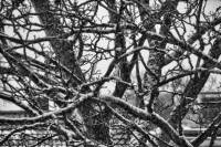 schnee121207-03.jpg