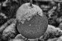 schnee121207-05.jpg
