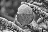 schnee121207-06.jpg
