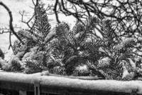 schnee121207-08.jpg