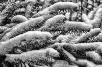 schnee121207-09.jpg