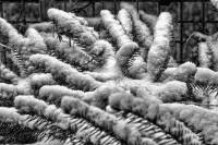 schnee121207-10.jpg