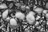 schnee121207-16.jpg