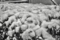 schnee121207-17.jpg