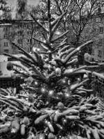 schnee121207-18.jpg