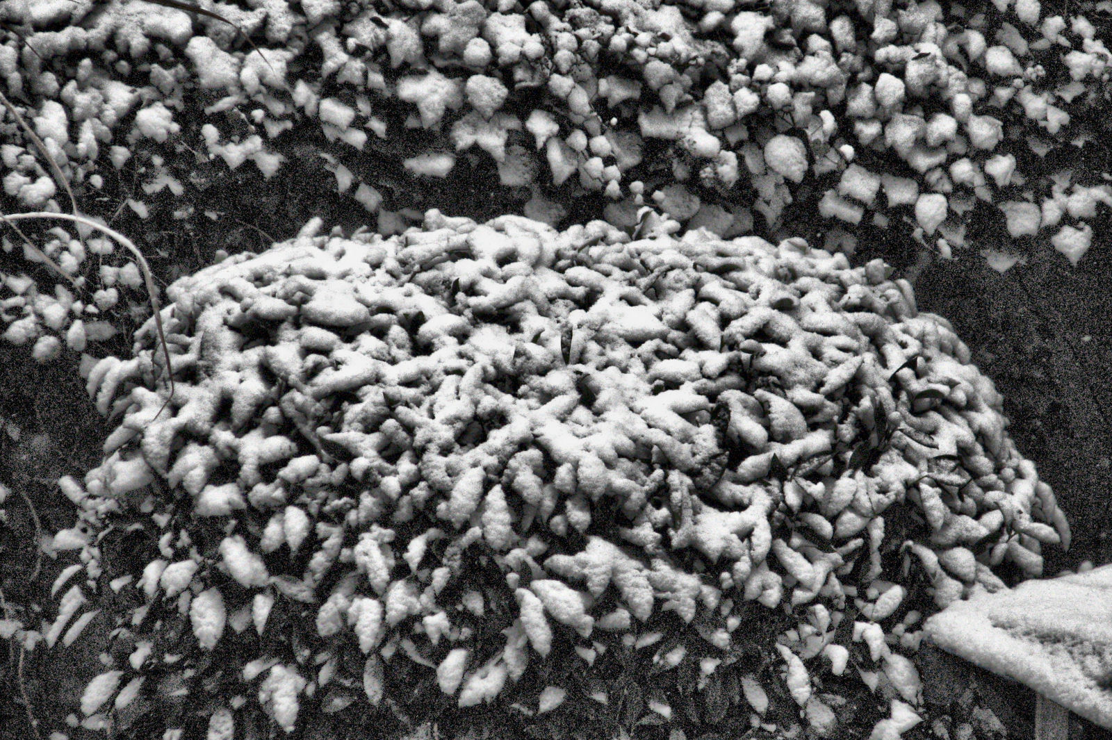 schnee121207-04.jpg