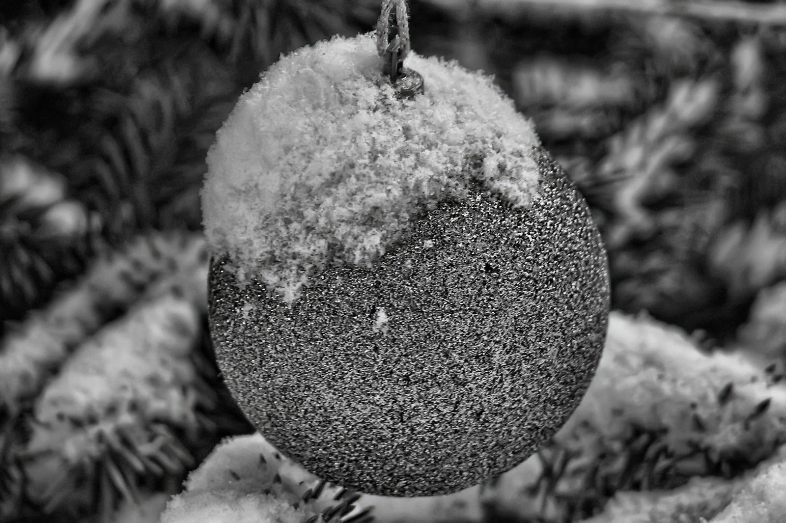 schnee121207-05.jpg