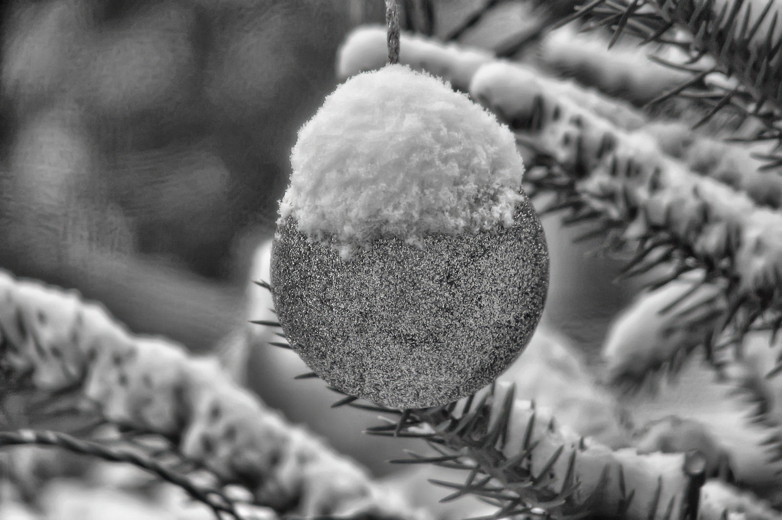 schnee121207-06.jpg