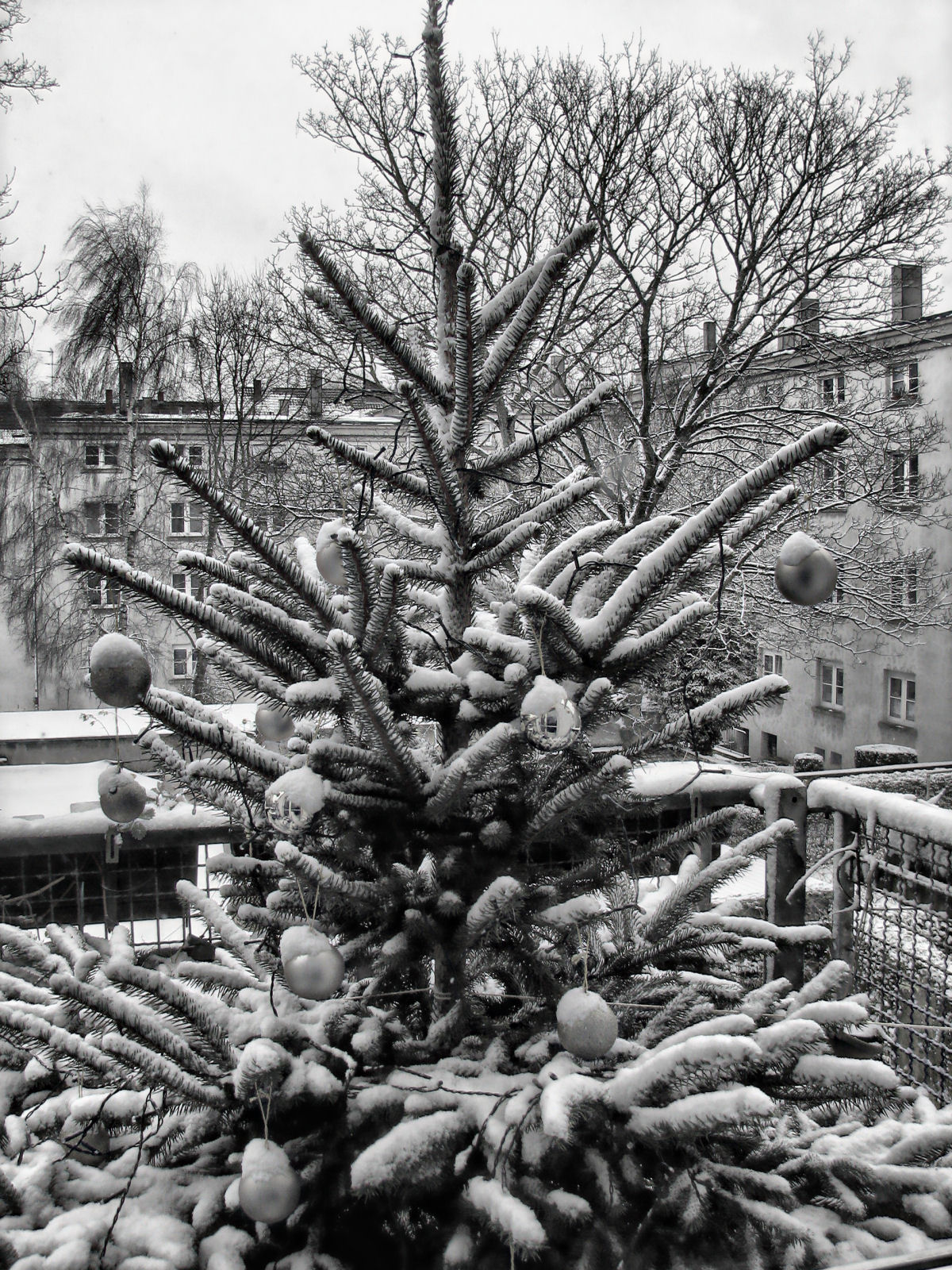 schnee121207-07.jpg