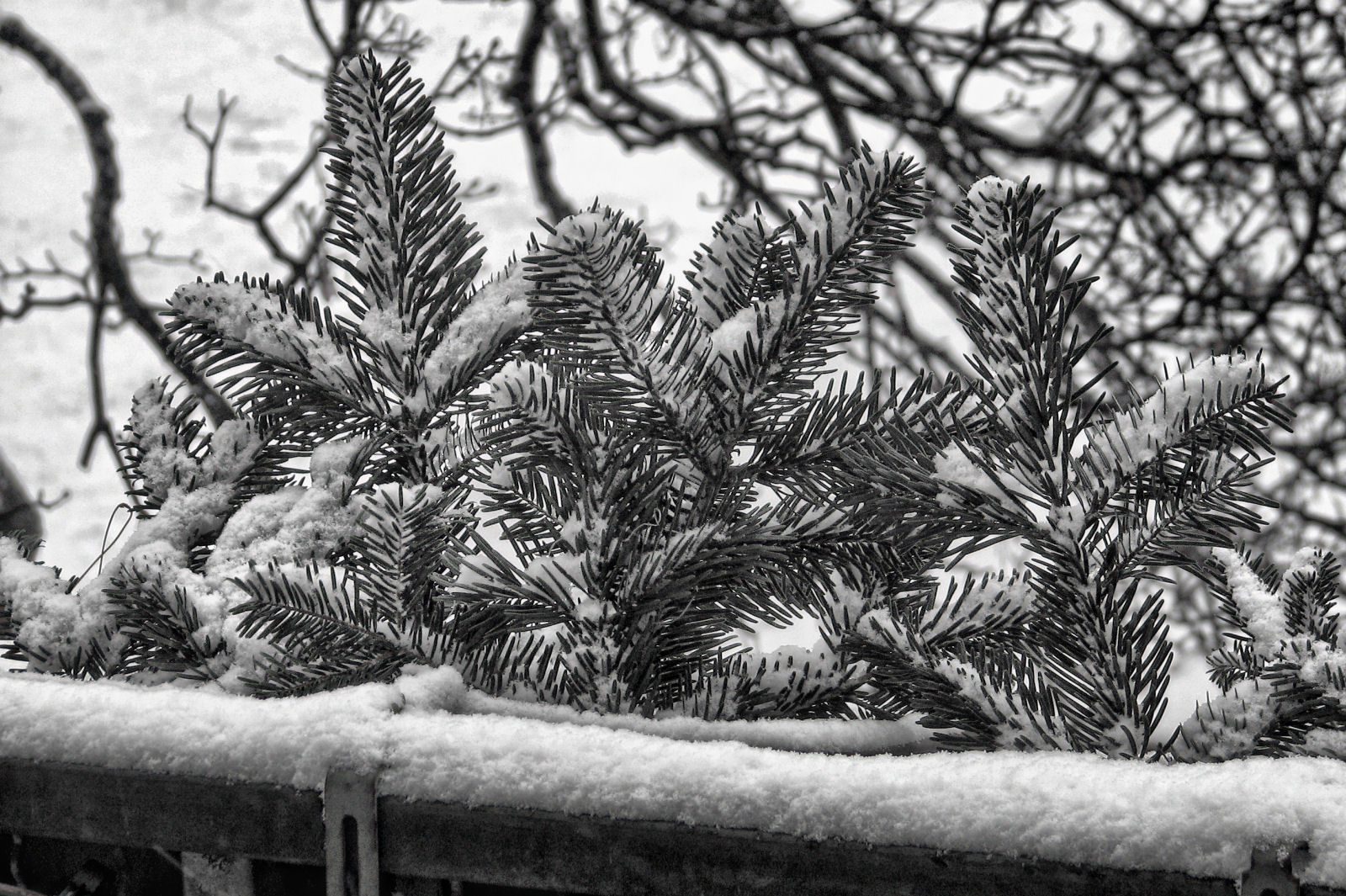 schnee121207-08.jpg