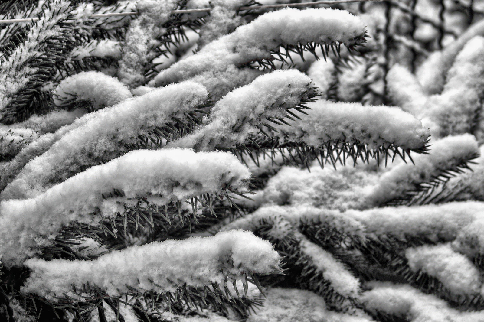 schnee121207-09.jpg