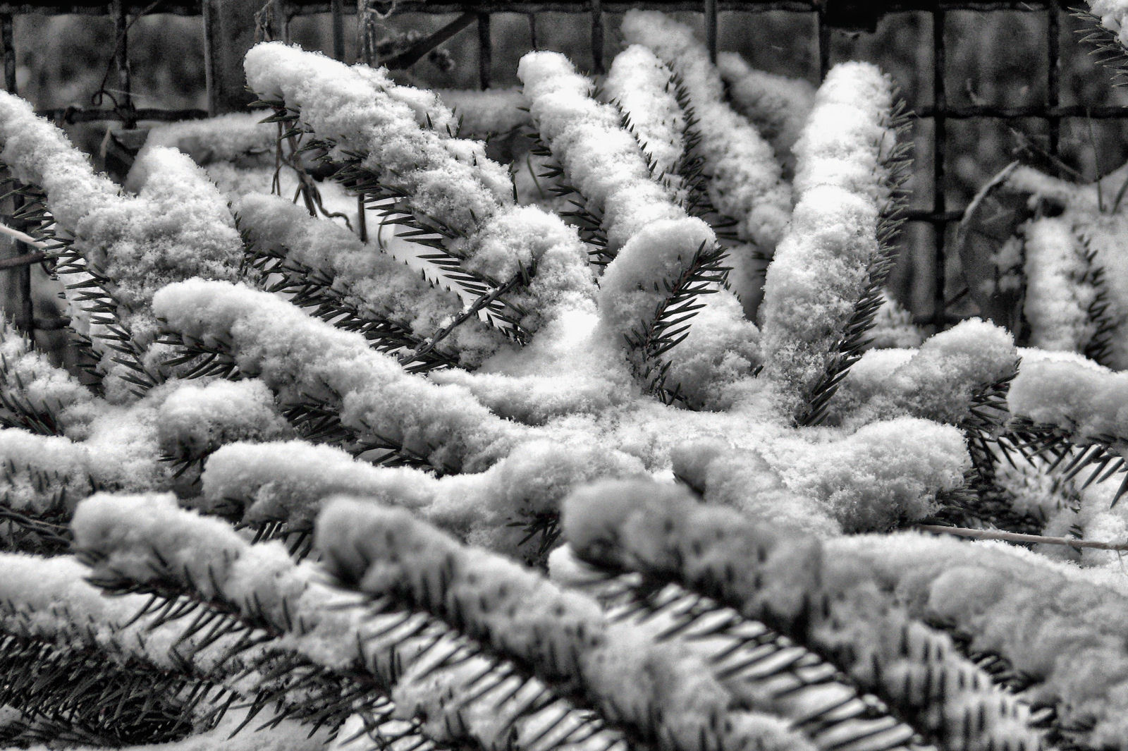 schnee121207-10.jpg
