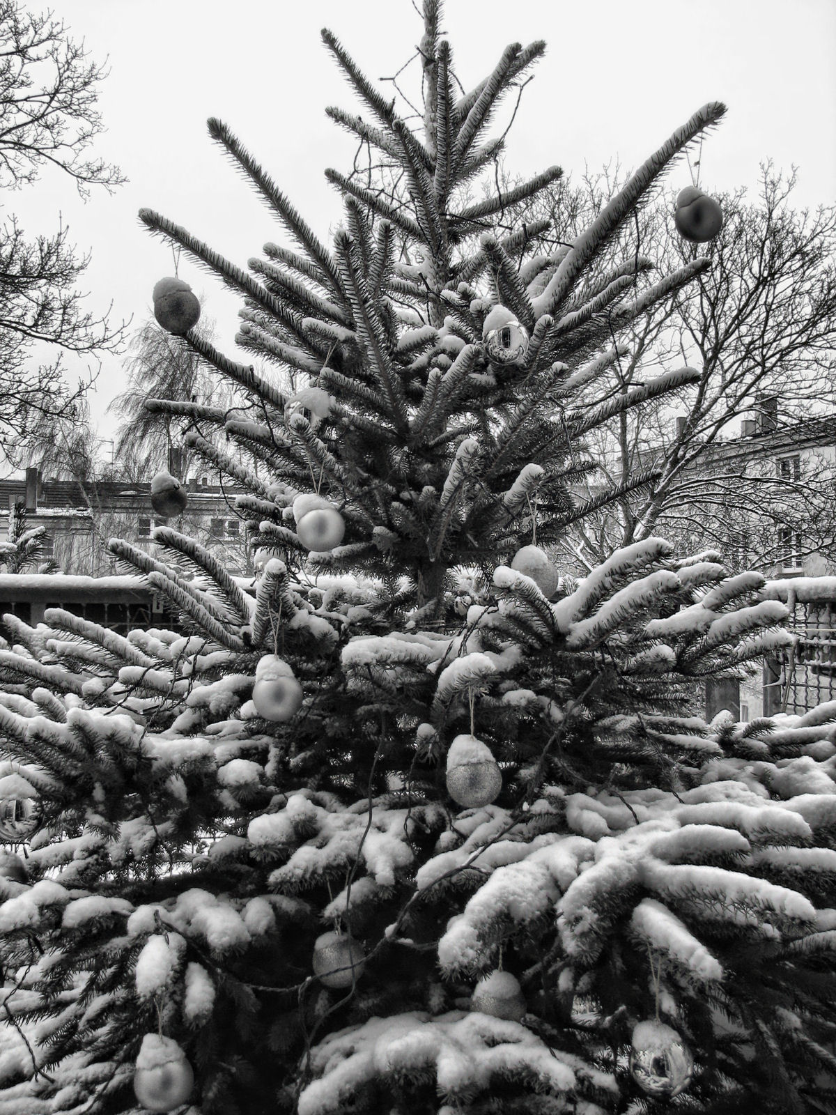 schnee121207-12.jpg