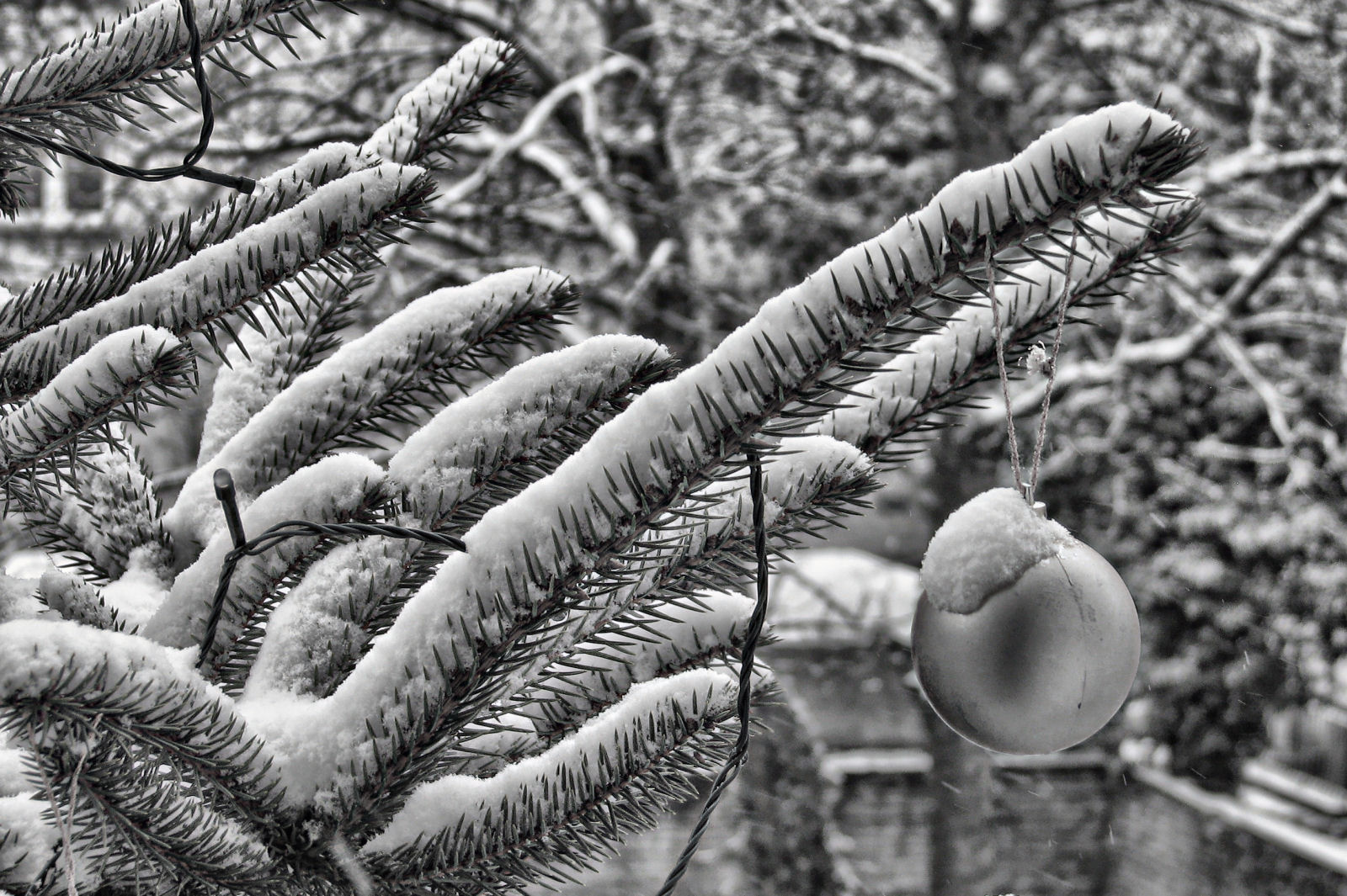 schnee121207-13.jpg
