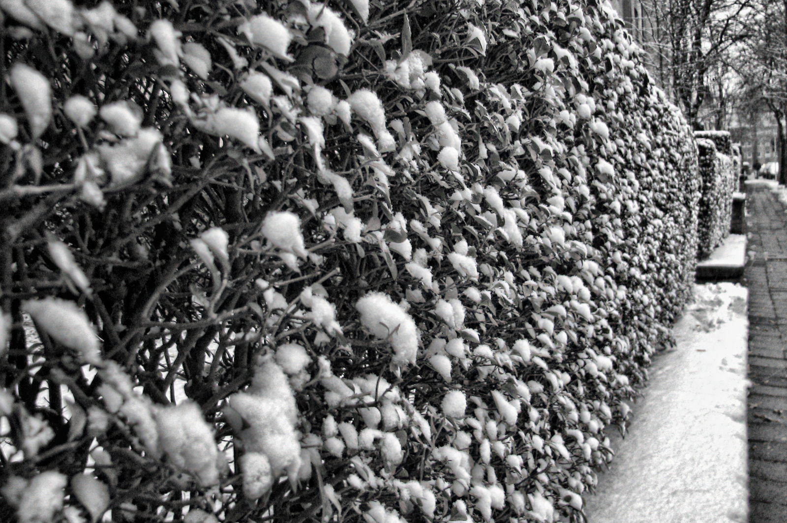 schnee121207-15.jpg