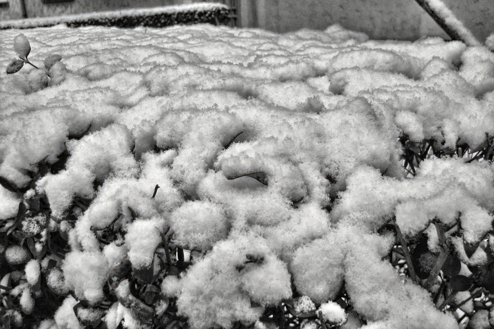 schnee121207-17.jpg