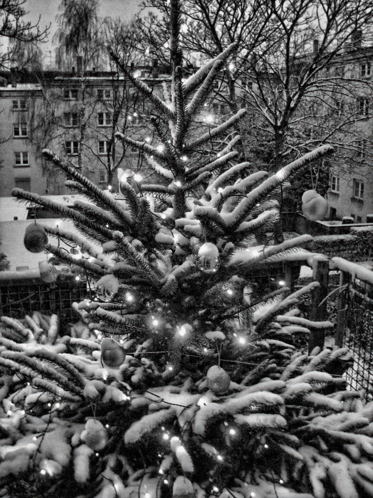 schnee121207-18.jpg