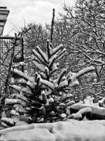 schnee130114a-17.jpg