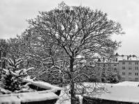 schnee130114a-19.jpg