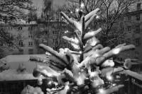 schnee130114a-22.jpg
