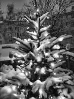 schnee130114a-23.jpg