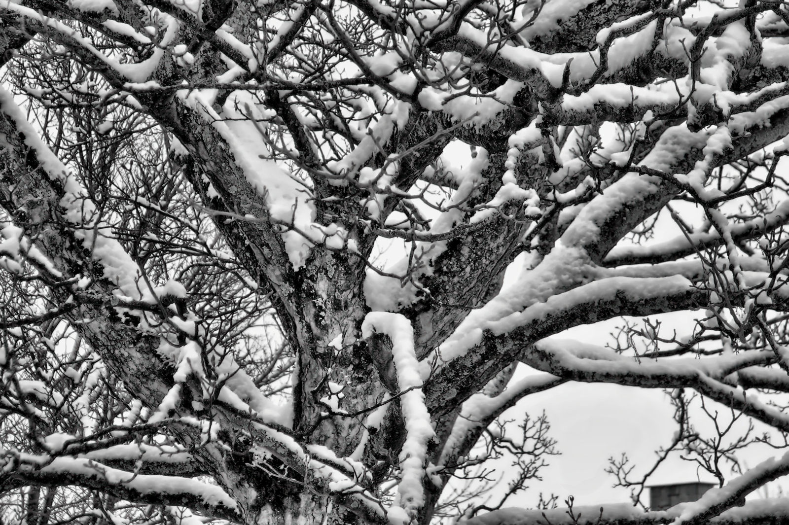 schnee130114a-05.jpg
