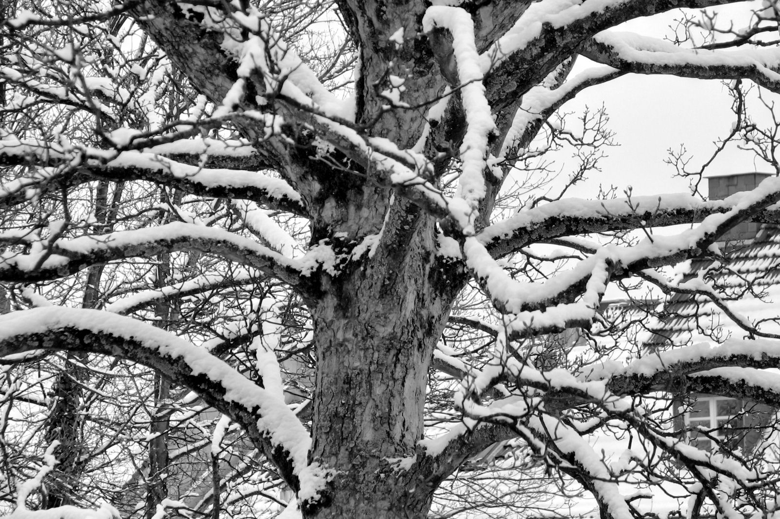 schnee130114a-06.jpg