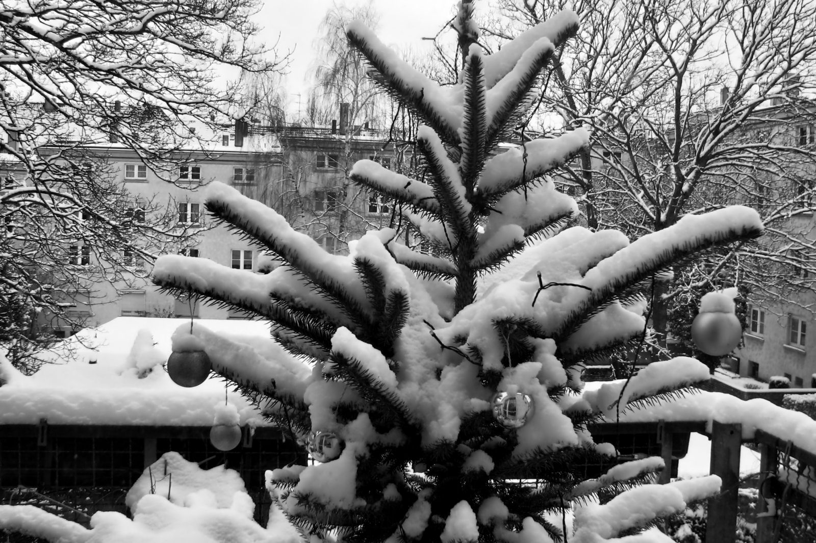 schnee130114a-08.jpg