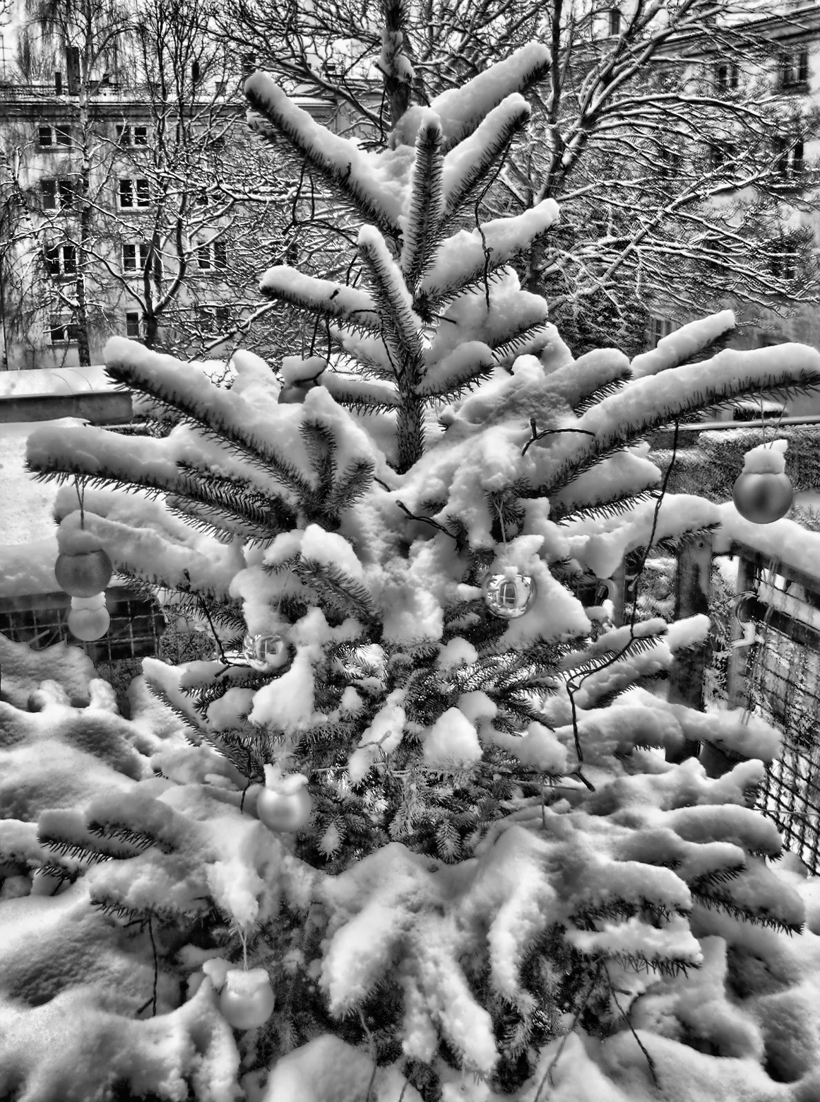 schnee130114a-10.jpg