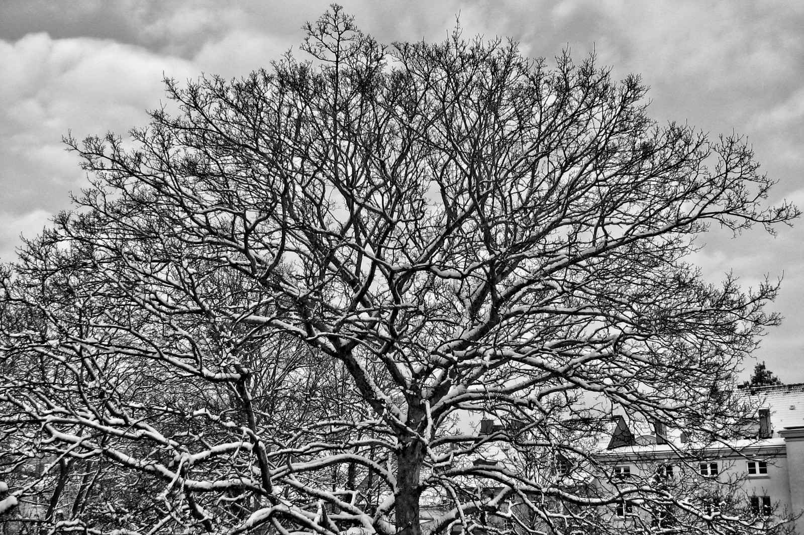 schnee130114a-16.jpg