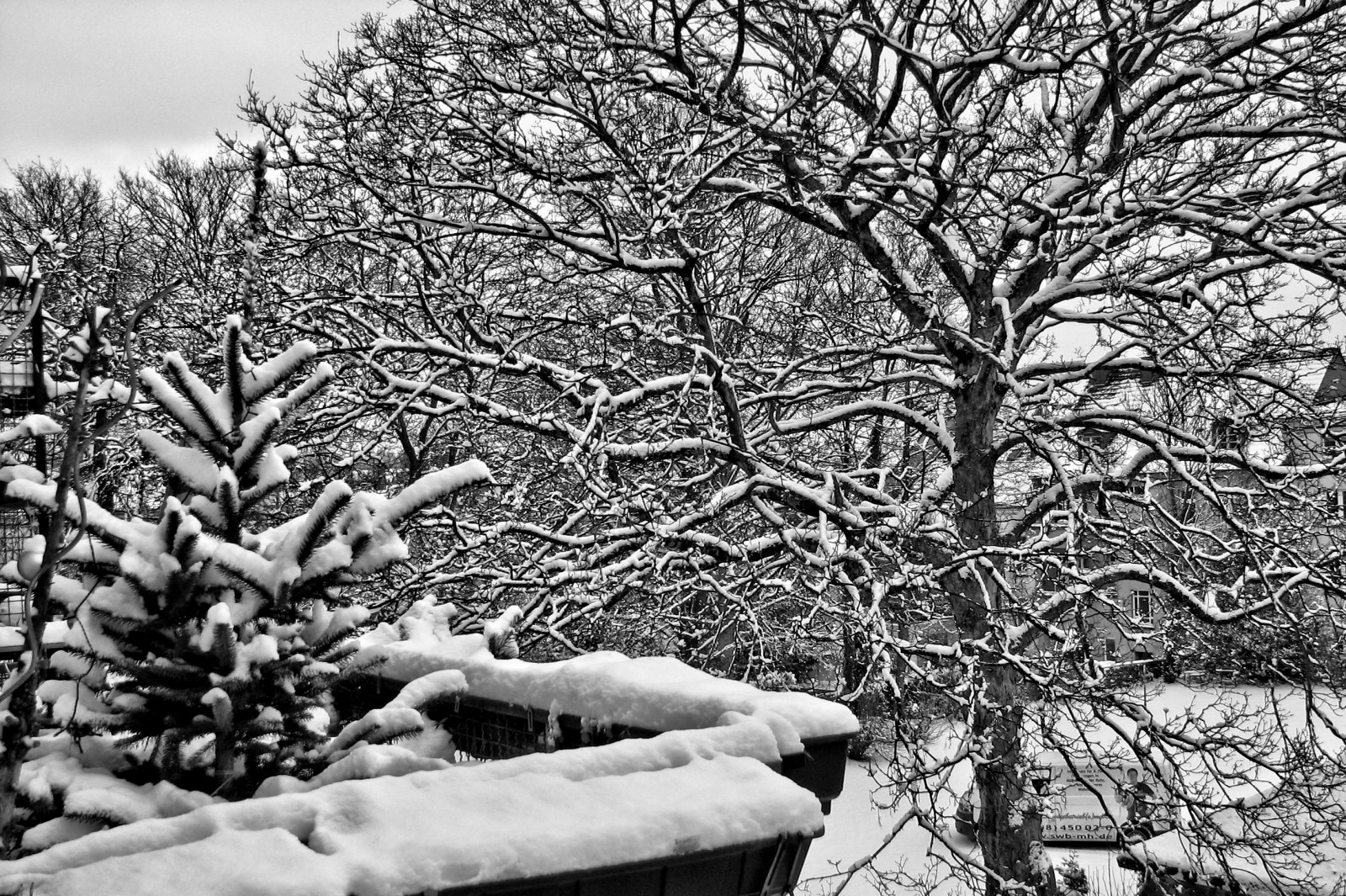 schnee130114a-18.jpg