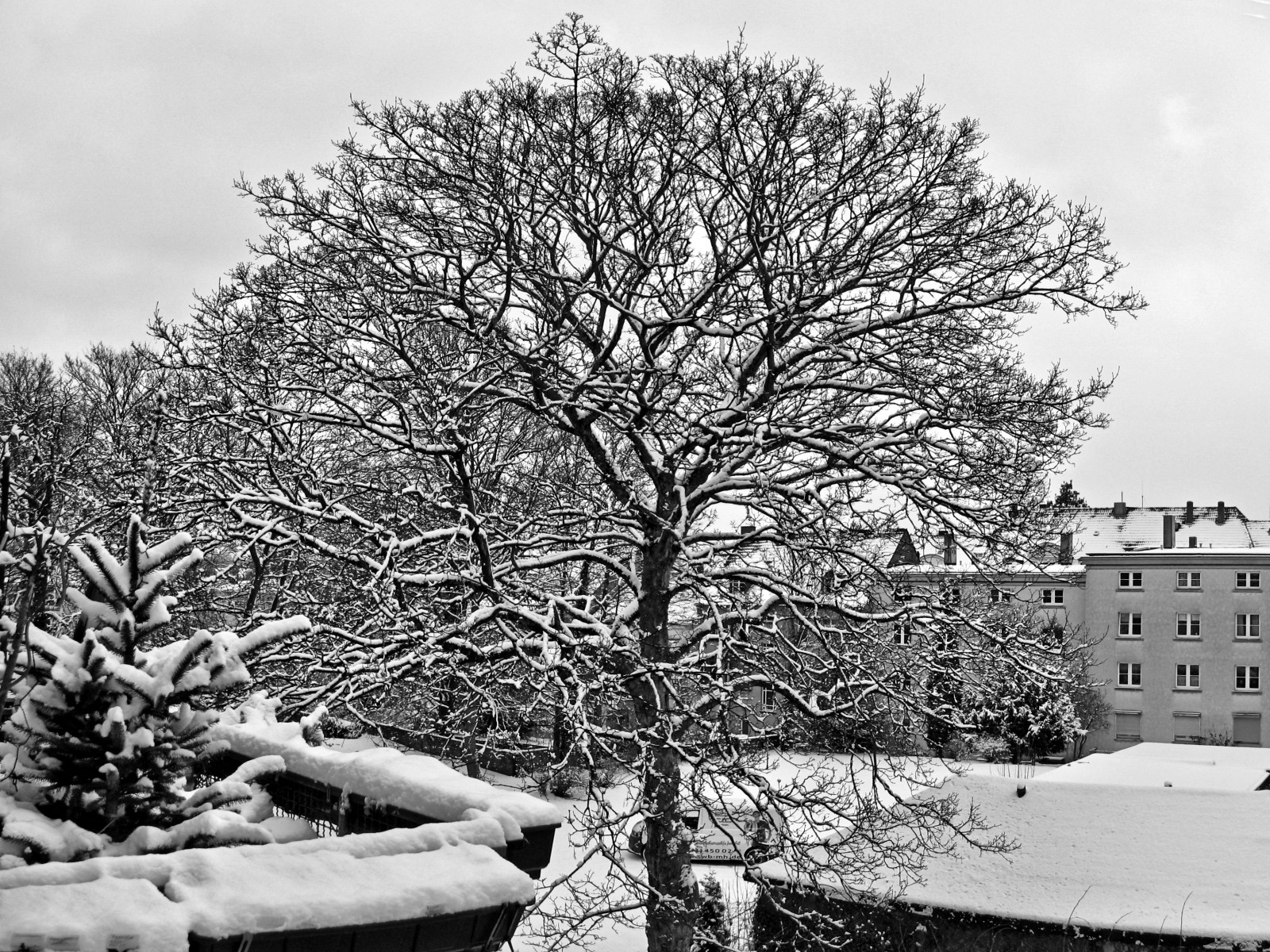 schnee130114a-19.jpg