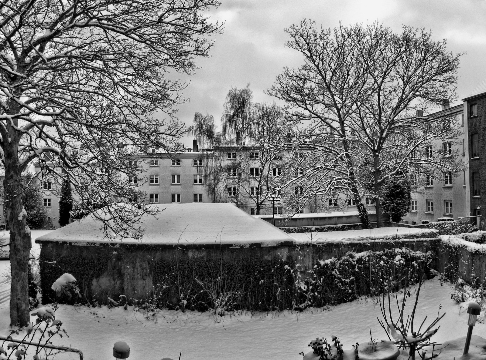 schnee130114a-21.jpg