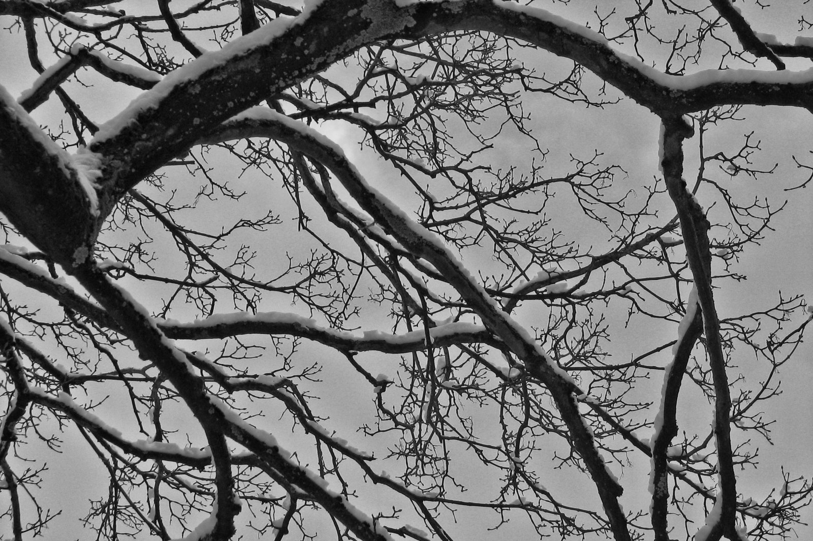 schnee130114b-02.jpg