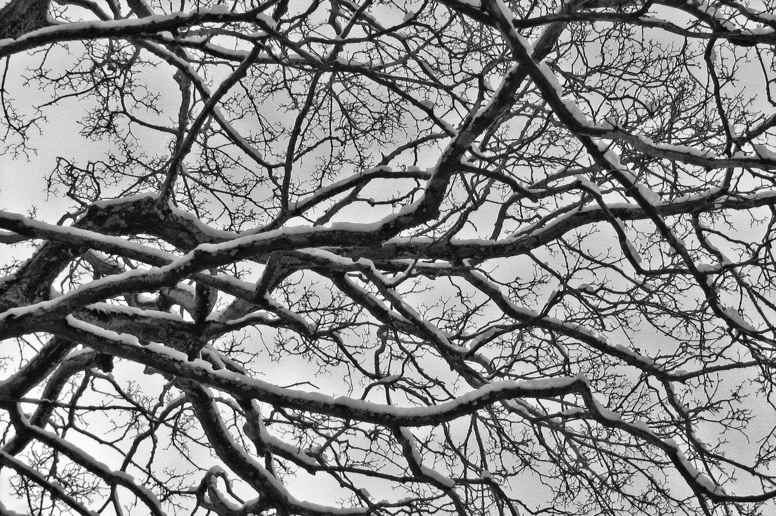 schnee130114b-04.jpg