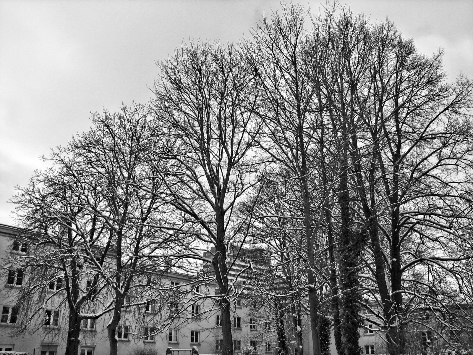 schnee130114b-06.jpg