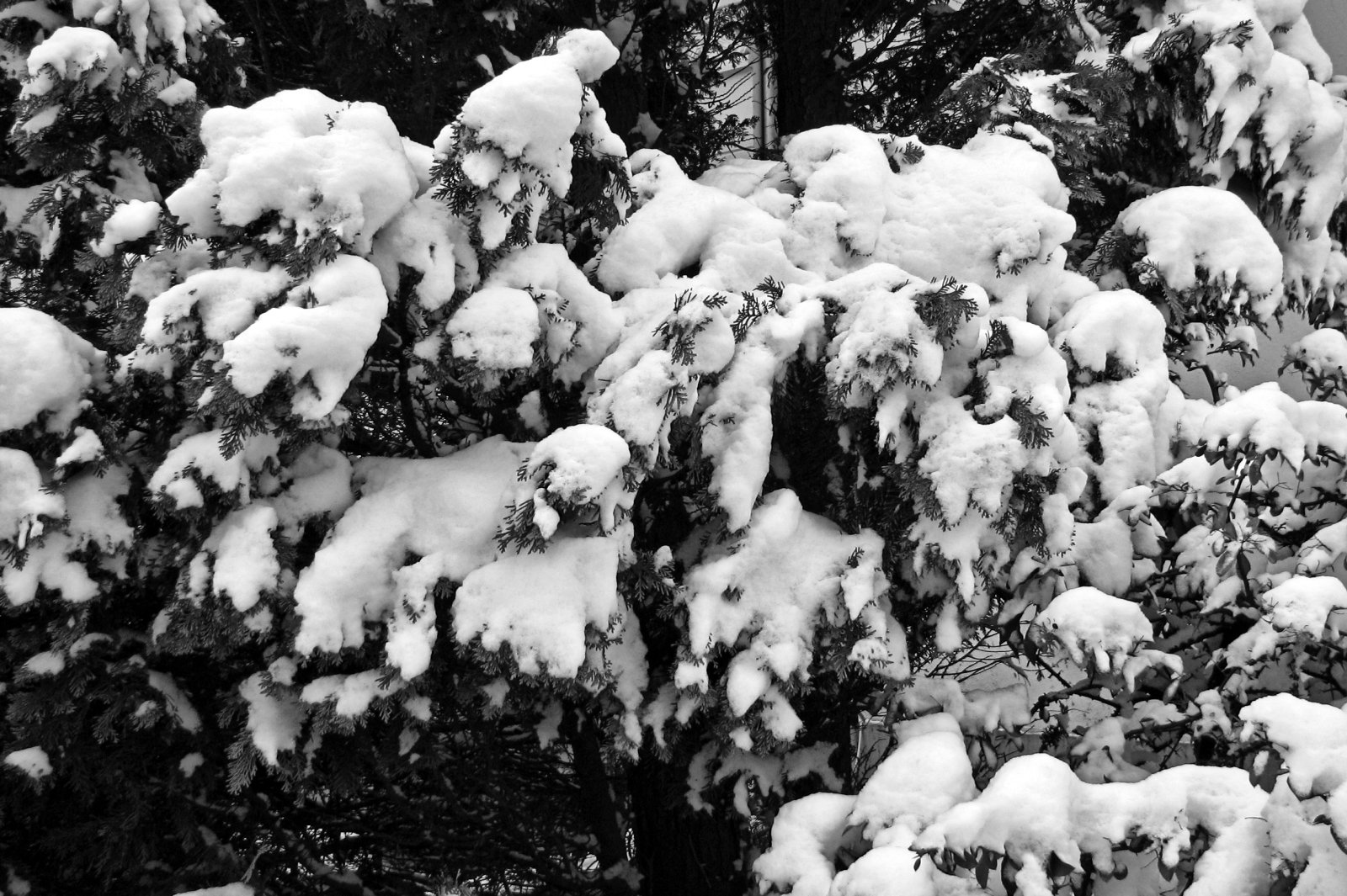 schnee130114b-11.jpg