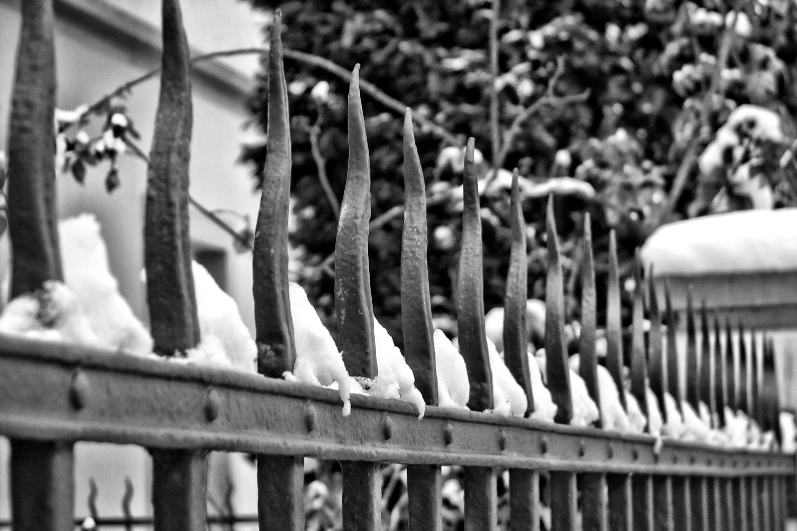 schnee130114b-13.jpg