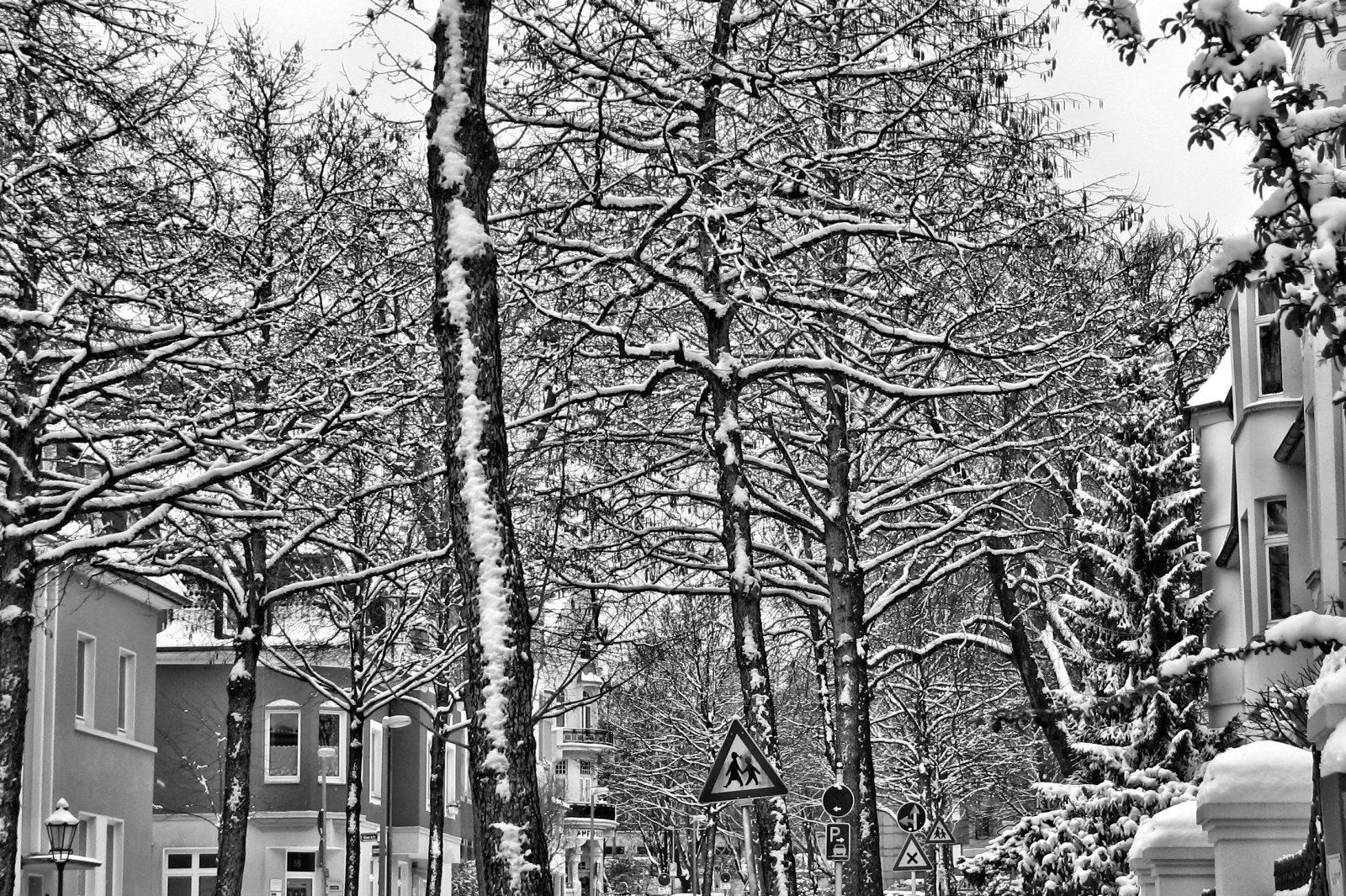 schnee130114b-14.jpg