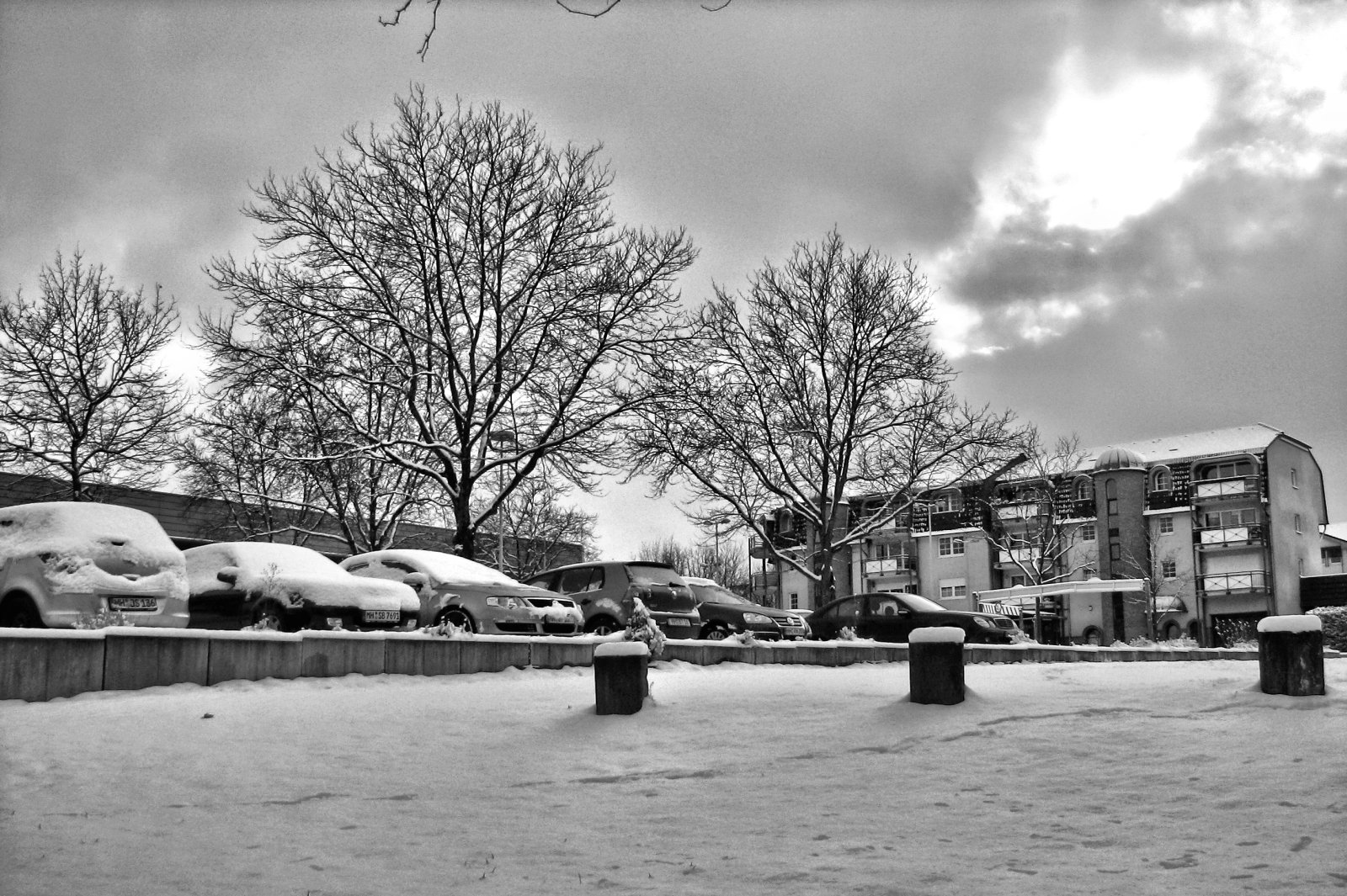 schnee130114b-31.jpg