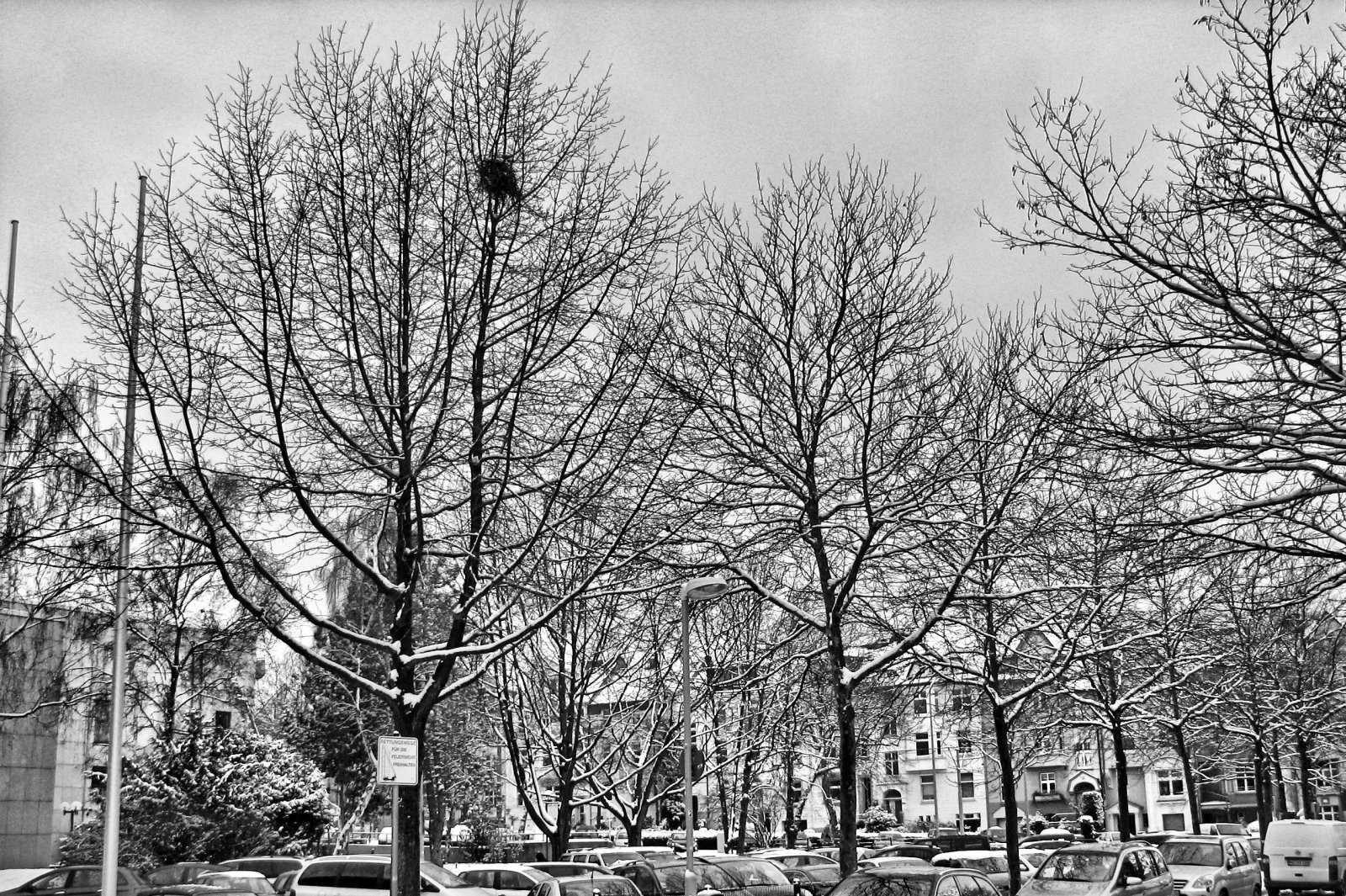 schnee130114b-33.jpg